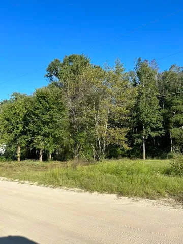 $16,000 | 0 Box Wood Lane, Tallahassee, FL 32303