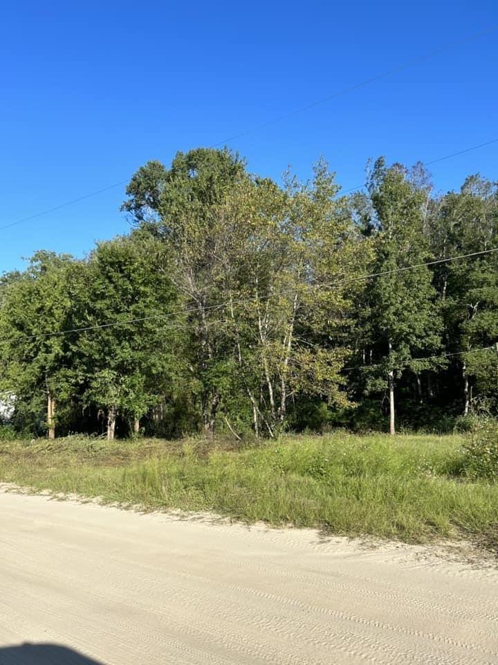 0 Box Wood Lane Tallahassee, FL 32303 - Photo 7 of 7