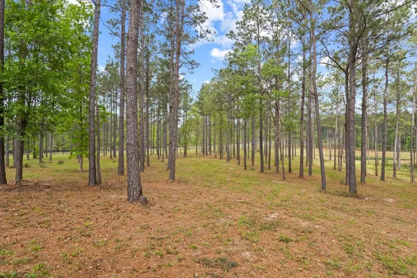 $749,000 | 3143 County Road 4300, Hillister, TX 77624