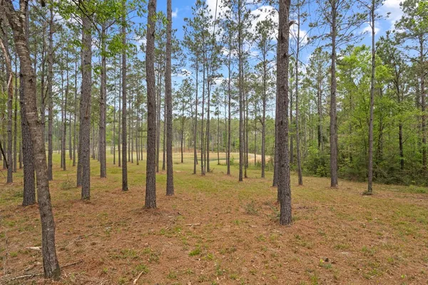 $749,000 | 3143 County Road 4300, Hillister, TX 77624