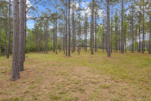 $749,000 | 3143 County Road 4300, Hillister, TX 77624