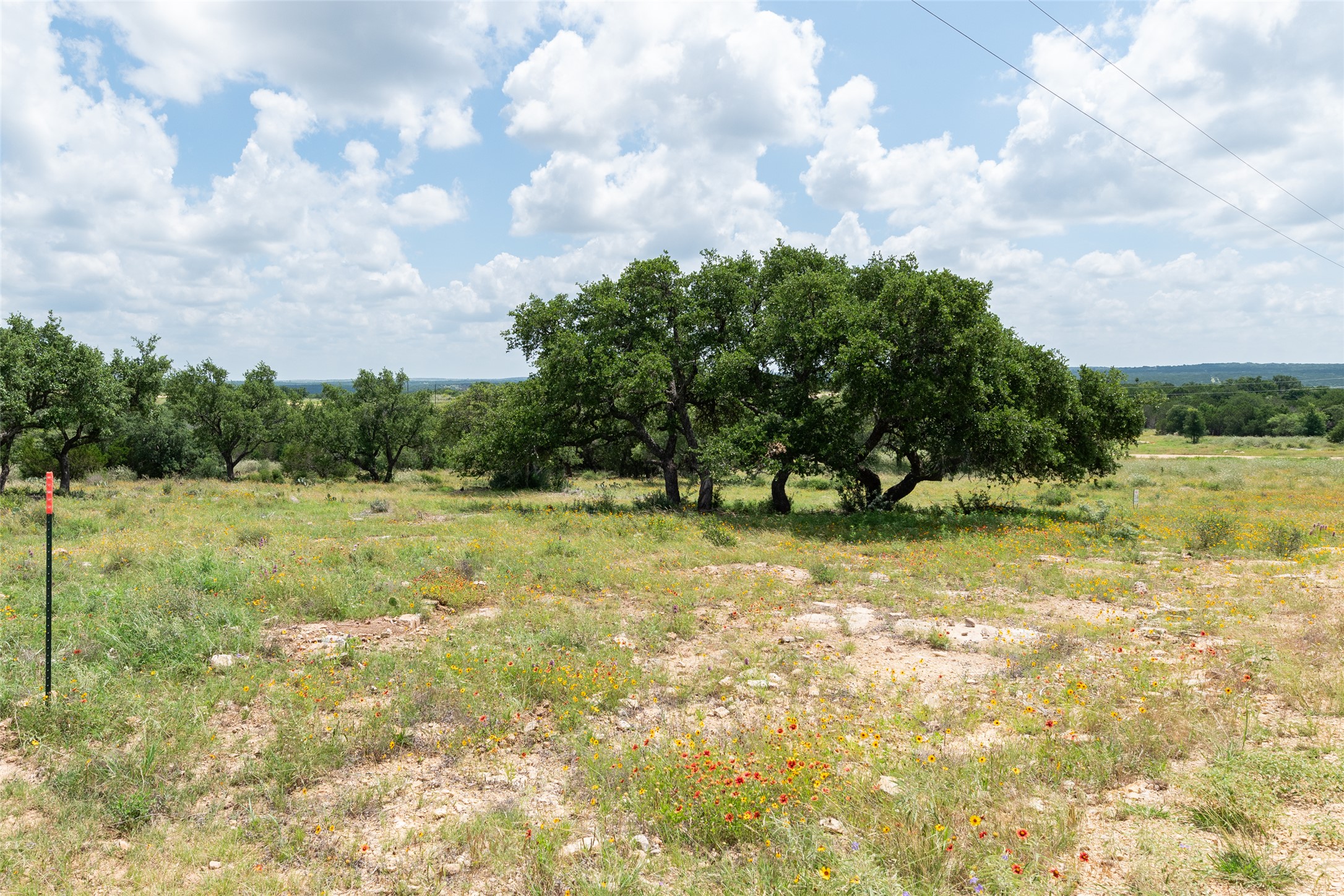 140 Longview Lane Cherokee, TX 76832 - Photo 6 of 8 A tranquil, rolling landscape with mature trees and wildflowers, ready for your vision.