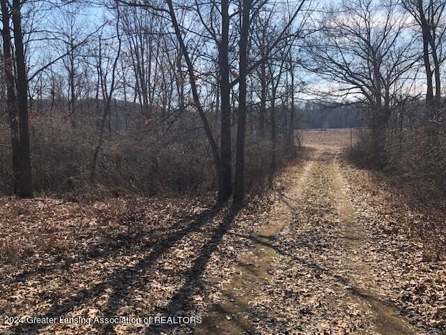 0 Bellevue Road Battle Creek, MI 49014 - Photo 8 of 20 Dirt Drive