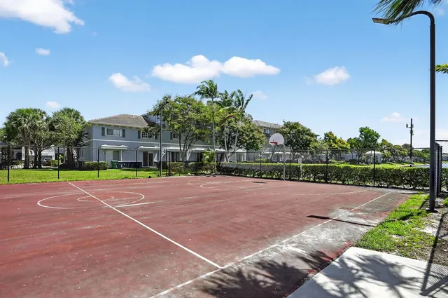 a view of a tennis ground with a large trees