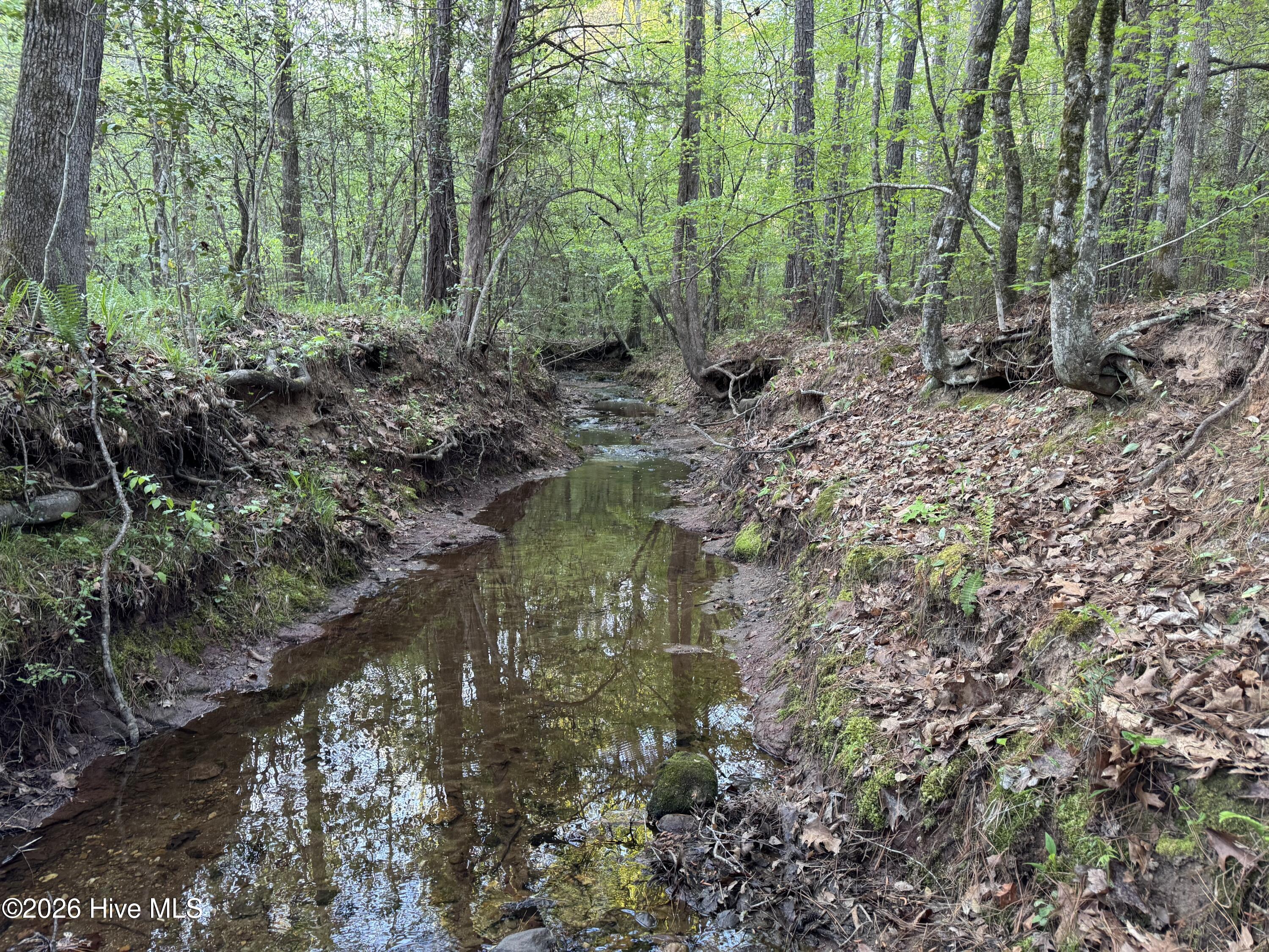 0 Cartledge Creek Road Rockingham, NC 28379 - Photo 21 of 32 Cartledge Creek