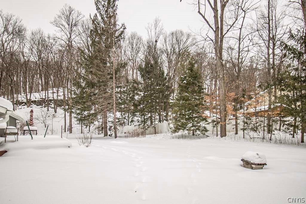 4443 Watervale Road Manlius, NY 13104 - Photo 48 of 49