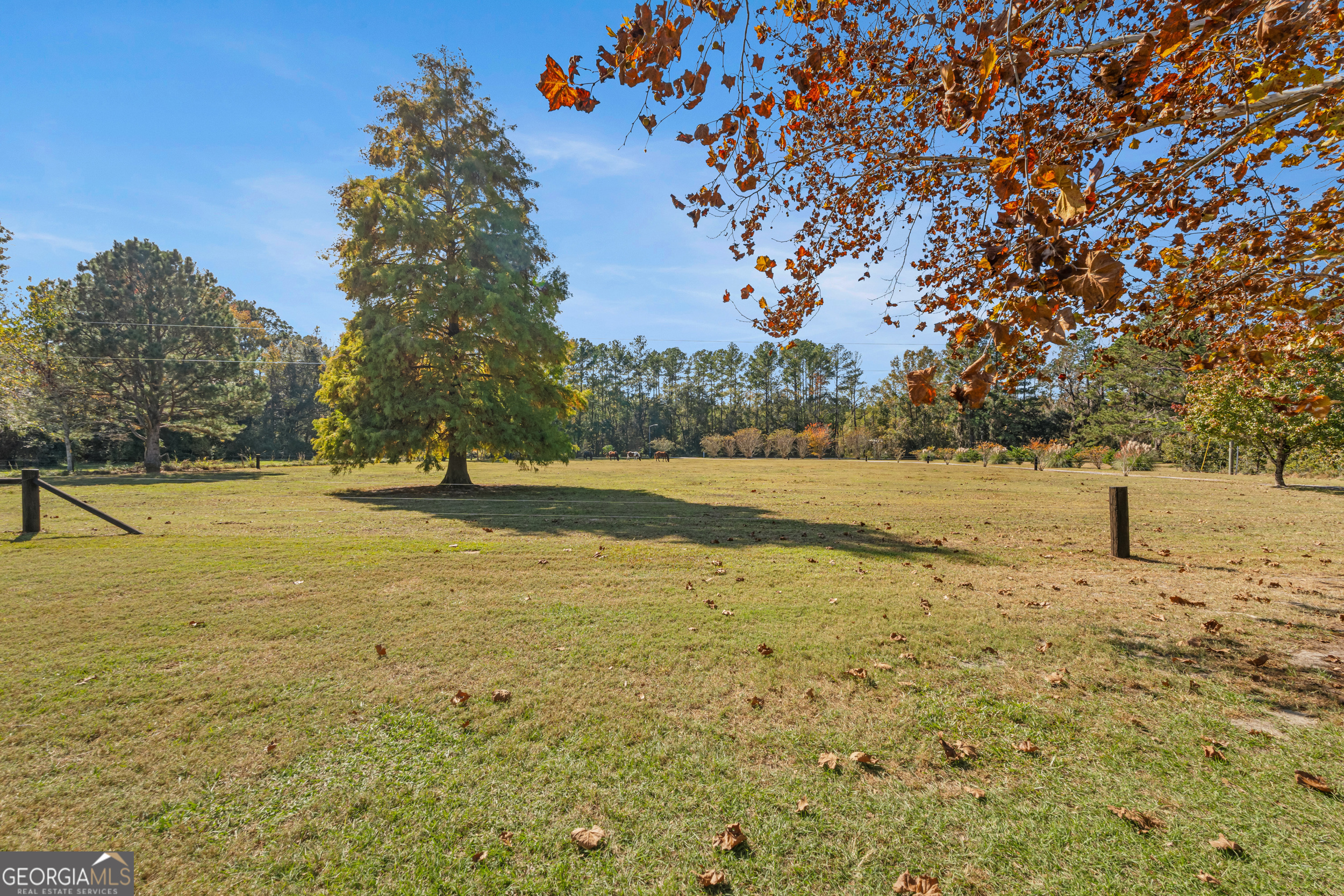 357 Pound Road Guyton, GA 31312 - Photo 46 of 49 a view of yard with trees