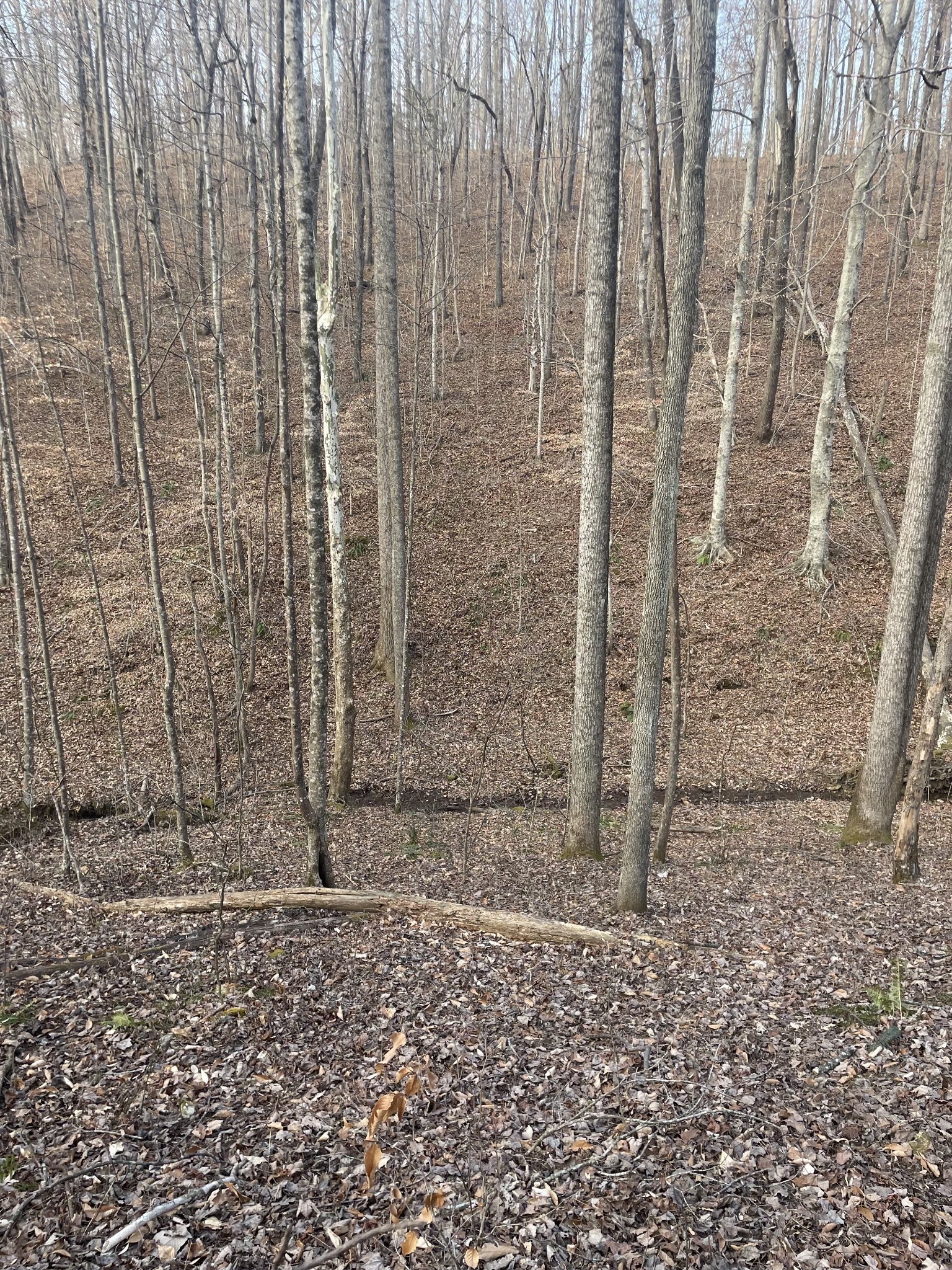 0 Sugar Tree Knob Road Liberty, TN 37095 - Photo 11 of 14 a view of a wooden door