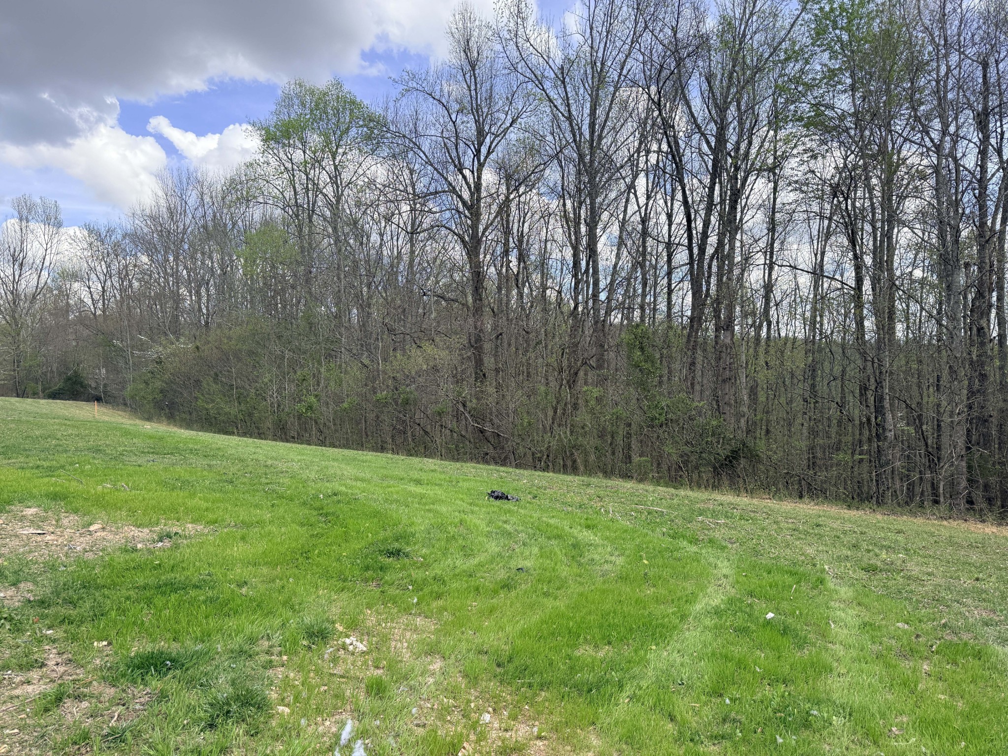 0 Sugar Tree Knob Road Liberty, TN 37095 - Photo 3 of 14