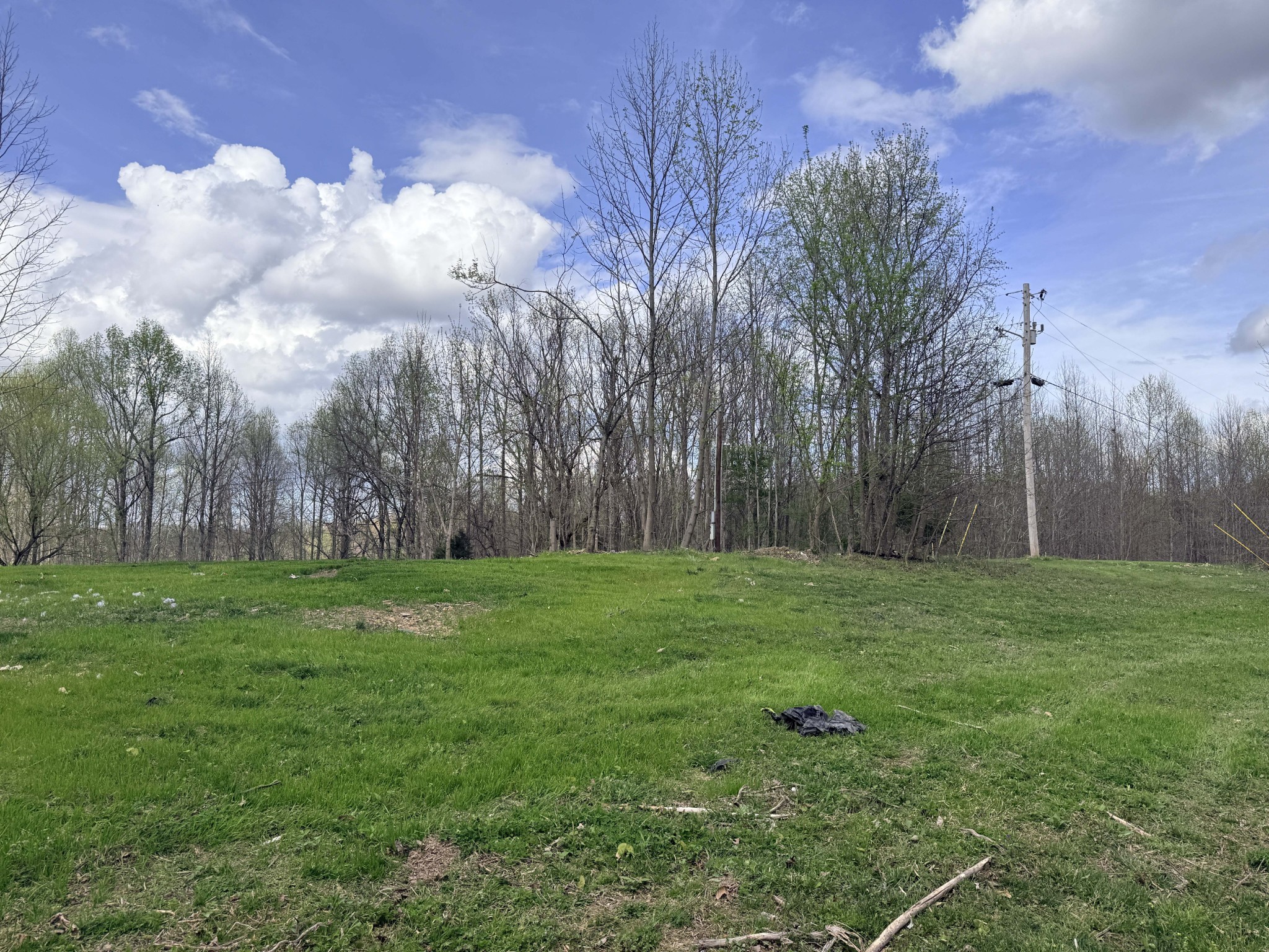 0 Sugar Tree Knob Road Liberty, TN 37095 - Photo 4 of 14 a garden view