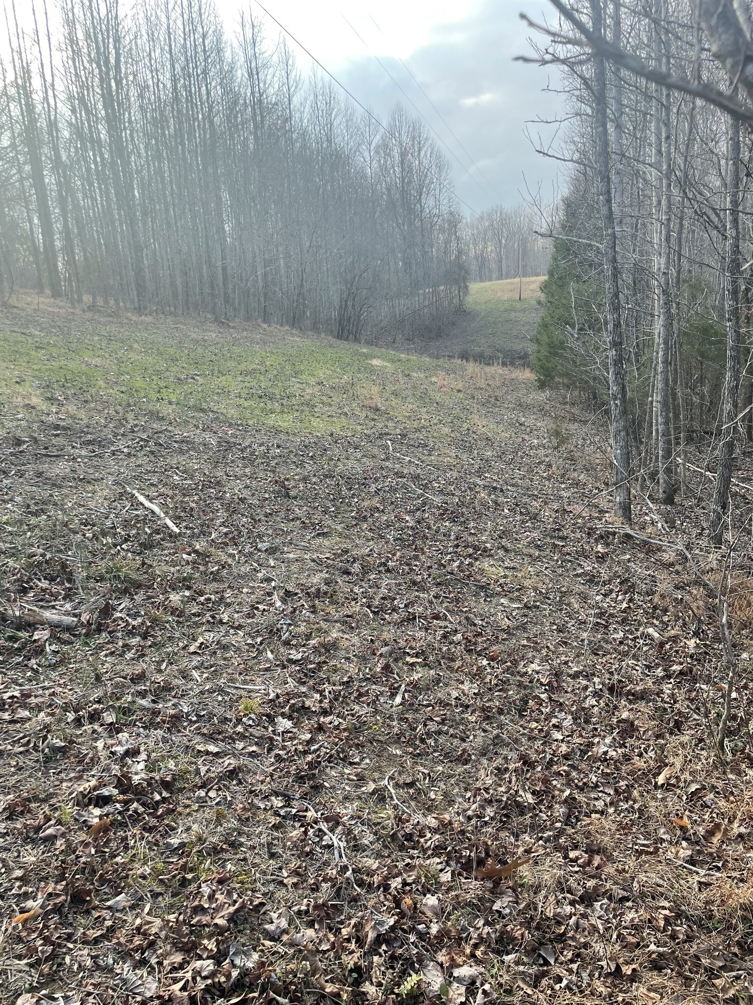 0 Sugar Tree Knob Road Liberty, TN 37095 - Photo 8 of 14 a view of outdoor space and yard