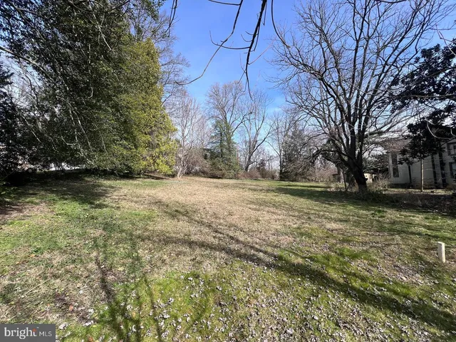 a view of yard with green space
