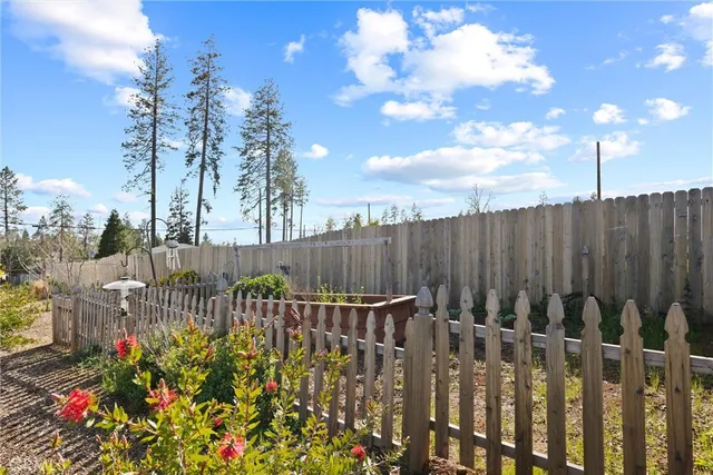 a view of a house with a small yard and a large tree