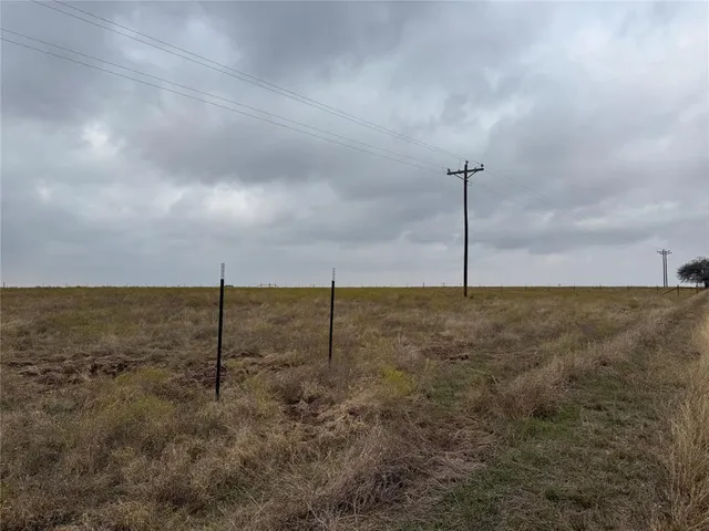 a view of a dry yard