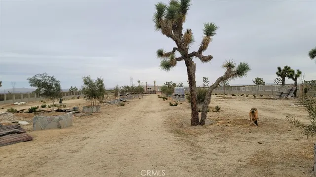 a view of a terrace with a bench