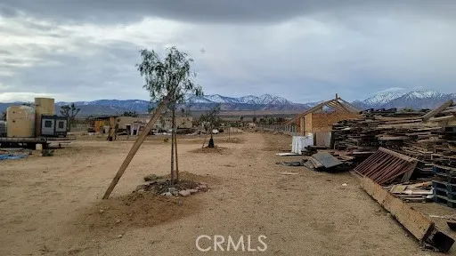 a view of a dry yard with trees