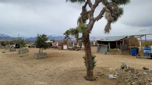 a view of living room with furniture and floor
