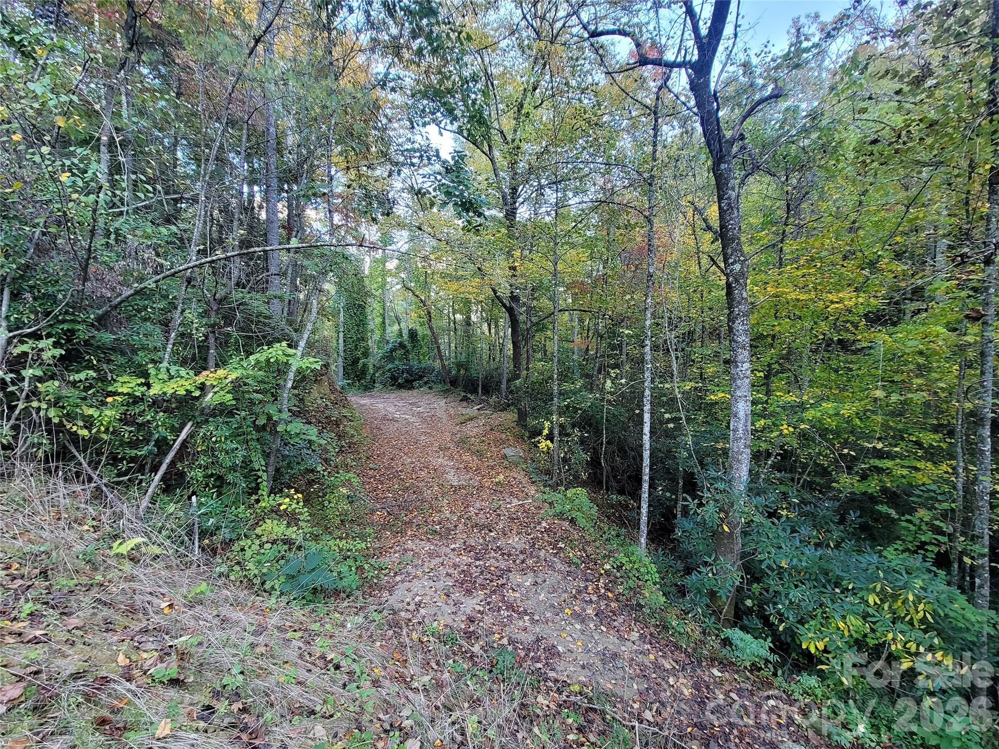 0 Big Hungry Road Flat Rock, NC 28731 - Photo 12 of 40 a view of forest