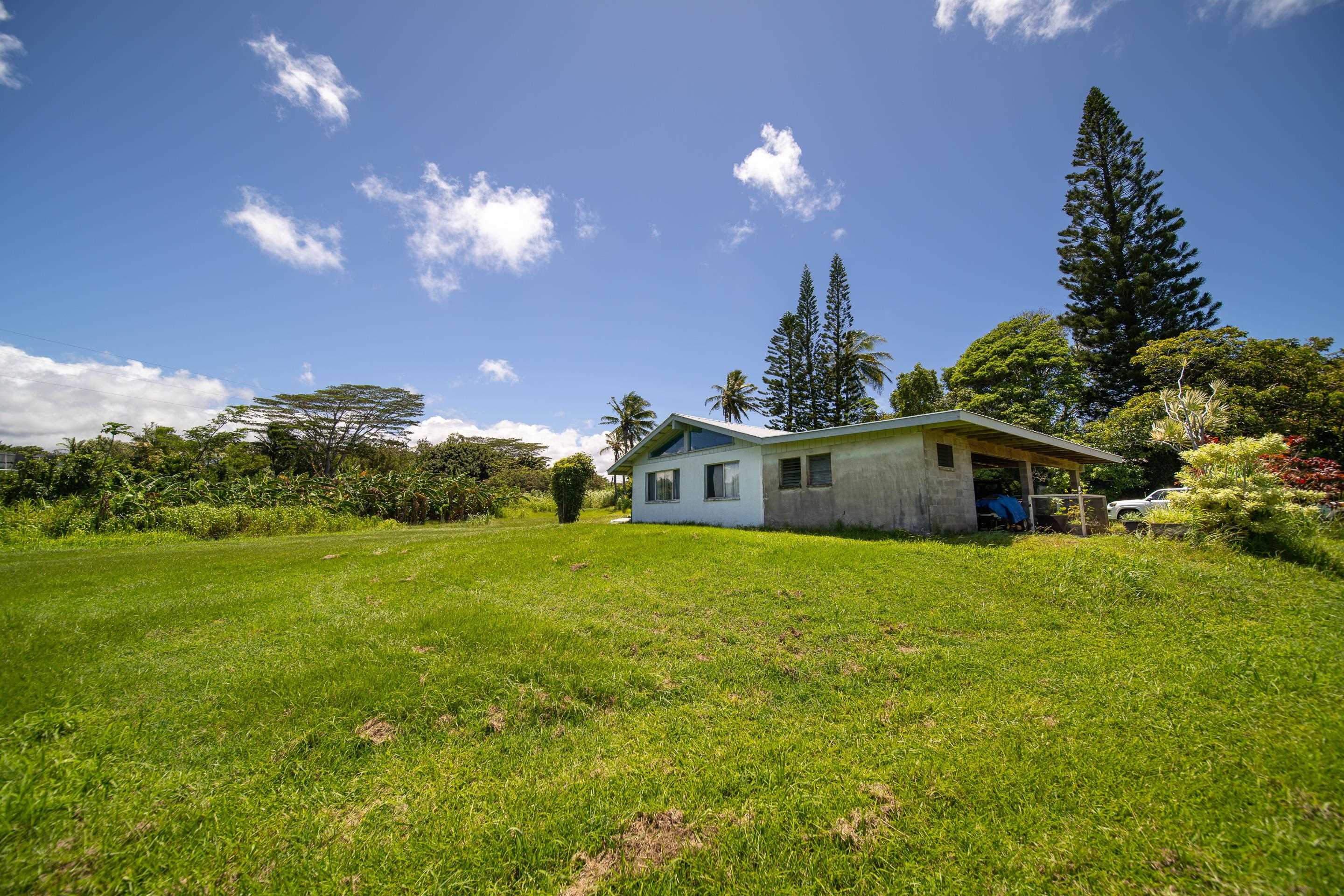 170-190 Oili Road Haiku, HI 96708 - Photo 3 of 21 a view of a house with a yard and potted plants