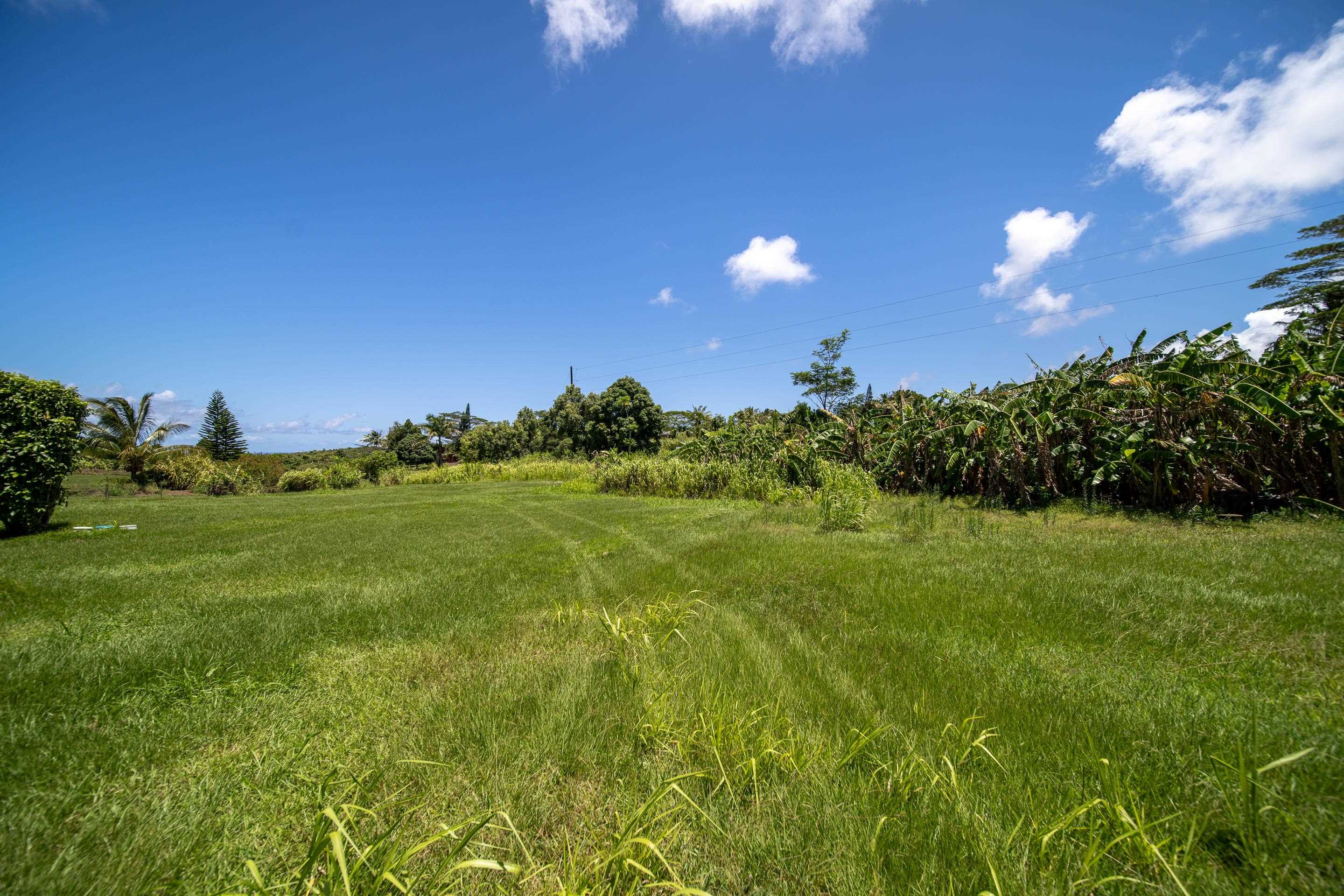 170-190 Oili Road Haiku, HI 96708 - Photo 8 of 21 a view of a big yard with lots of green space and mountain view