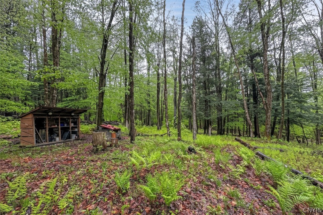 1848 Gray-Wilmurt Road Ohio, NY 13324 - Photo 34 of 39