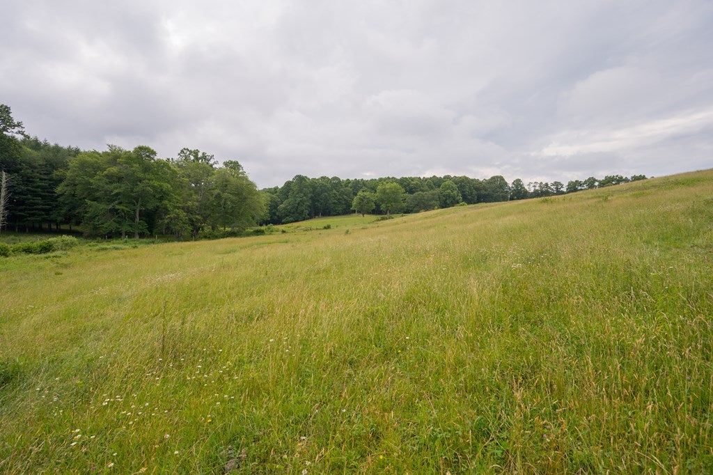 Tbd Keno Road Laurel Fork, VA 24352 - Photo 38 of 72 Gallery Image 38