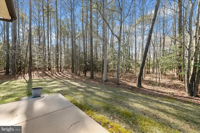 a view of yard with tree