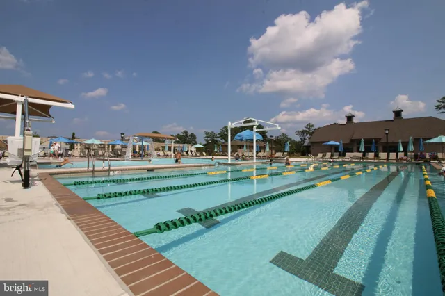 a view of a swimming pool with a bench and trees around