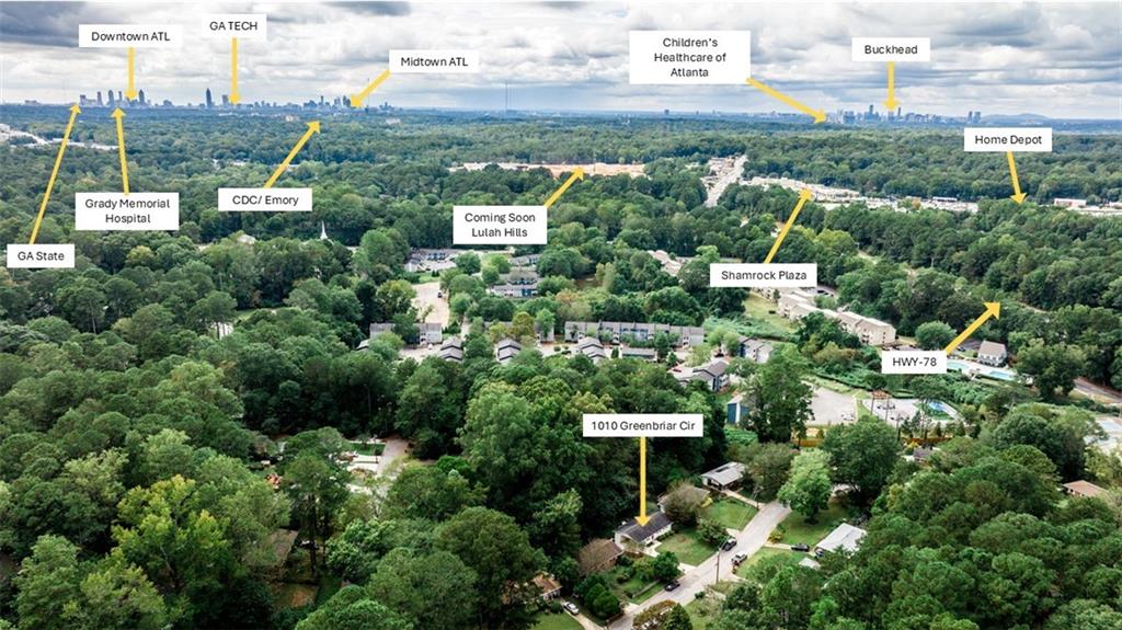 1010 Greenbriar Circle Decatur, GA 30033 - Photo 23 of 28 a view of a garden with plants