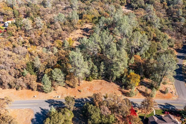 a view of a tree with a yard