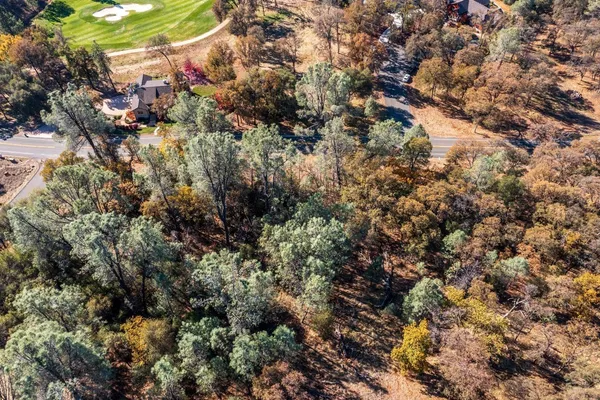 a view of a house with a tree