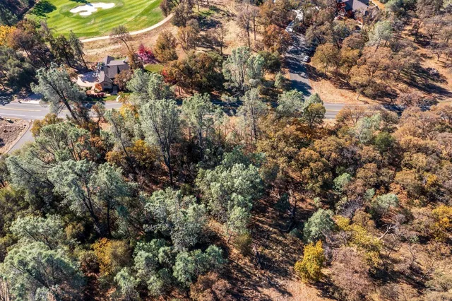 a view of a house with a tree