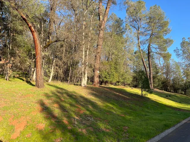 a view of yard with swimming pool and trees