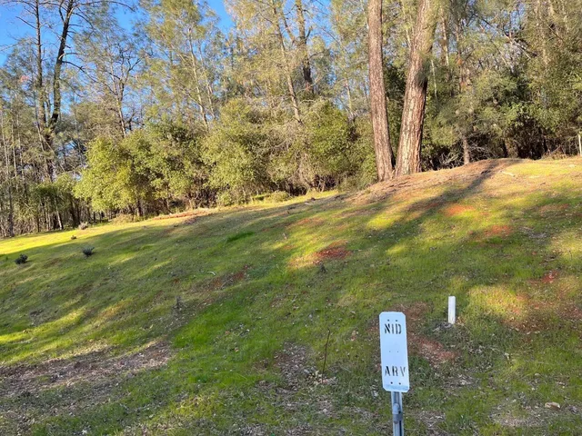 a fire hydrant in the middle of a field