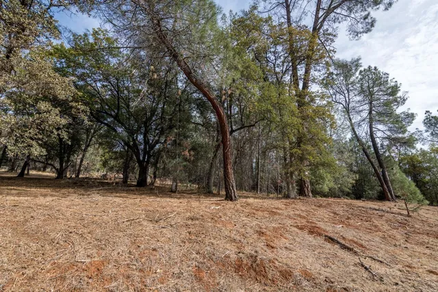 a view of outdoor space with trees