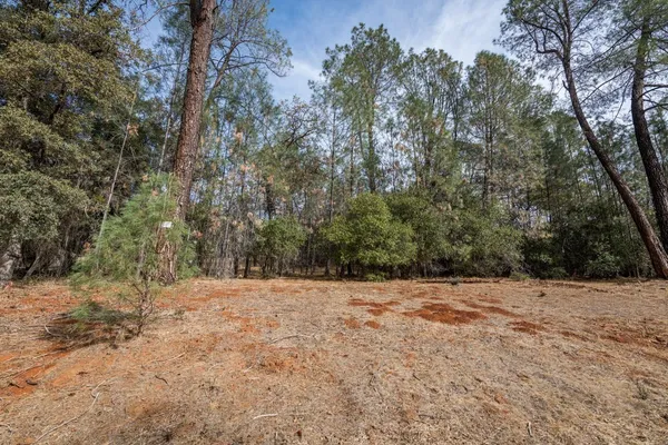 a view of outdoor space with trees