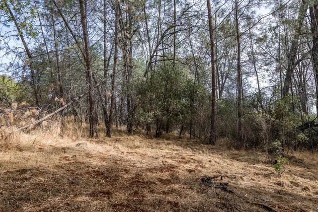 a view of backyard with green space