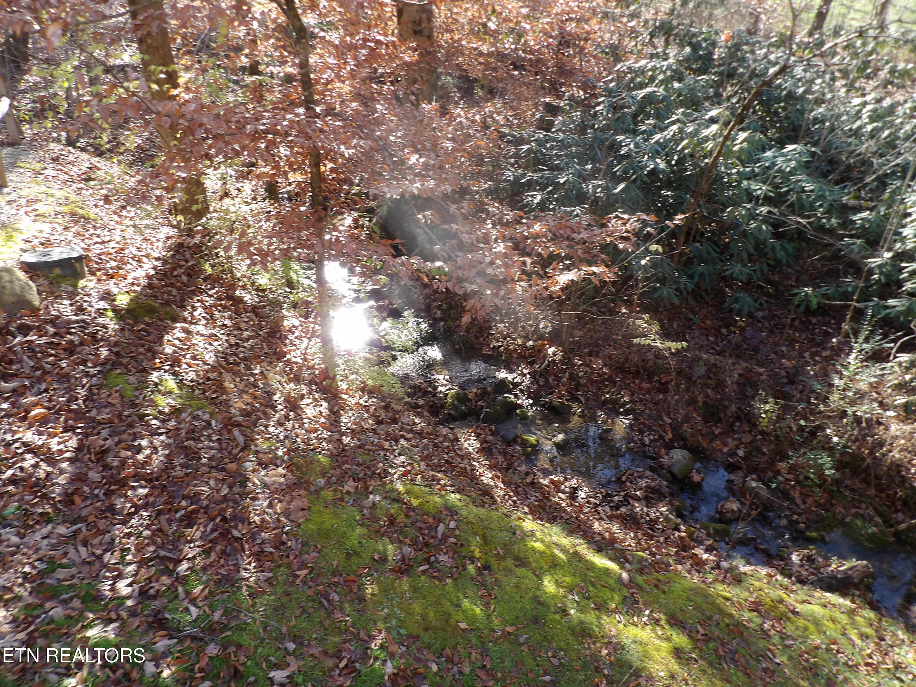 4716-4728 Fred Jennings Road Walland, TN 37886 - Photo 58 of 60 271_0339