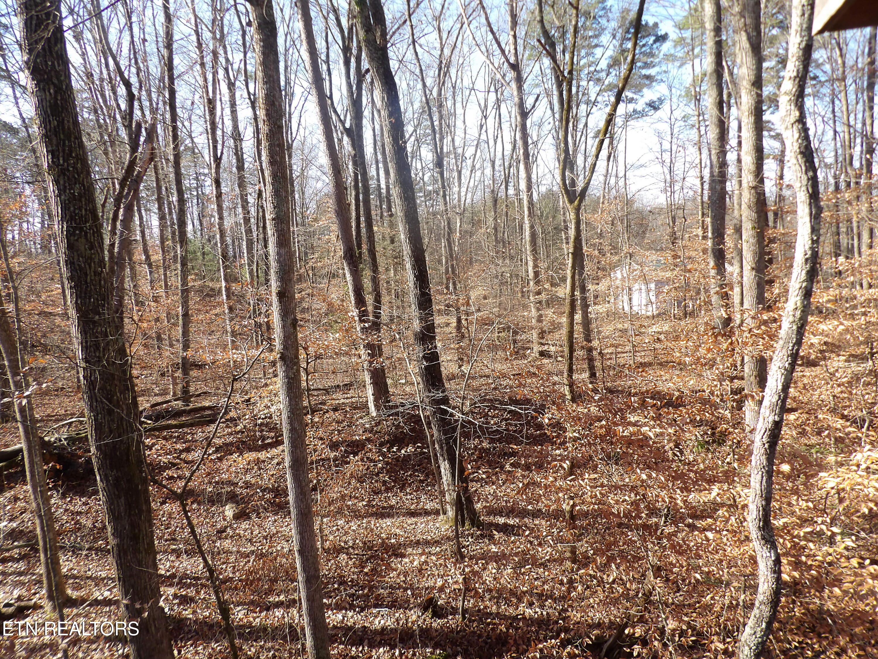 4716-4728 Fred Jennings Road Walland, TN 37886 - Photo 59 of 60 271_0326