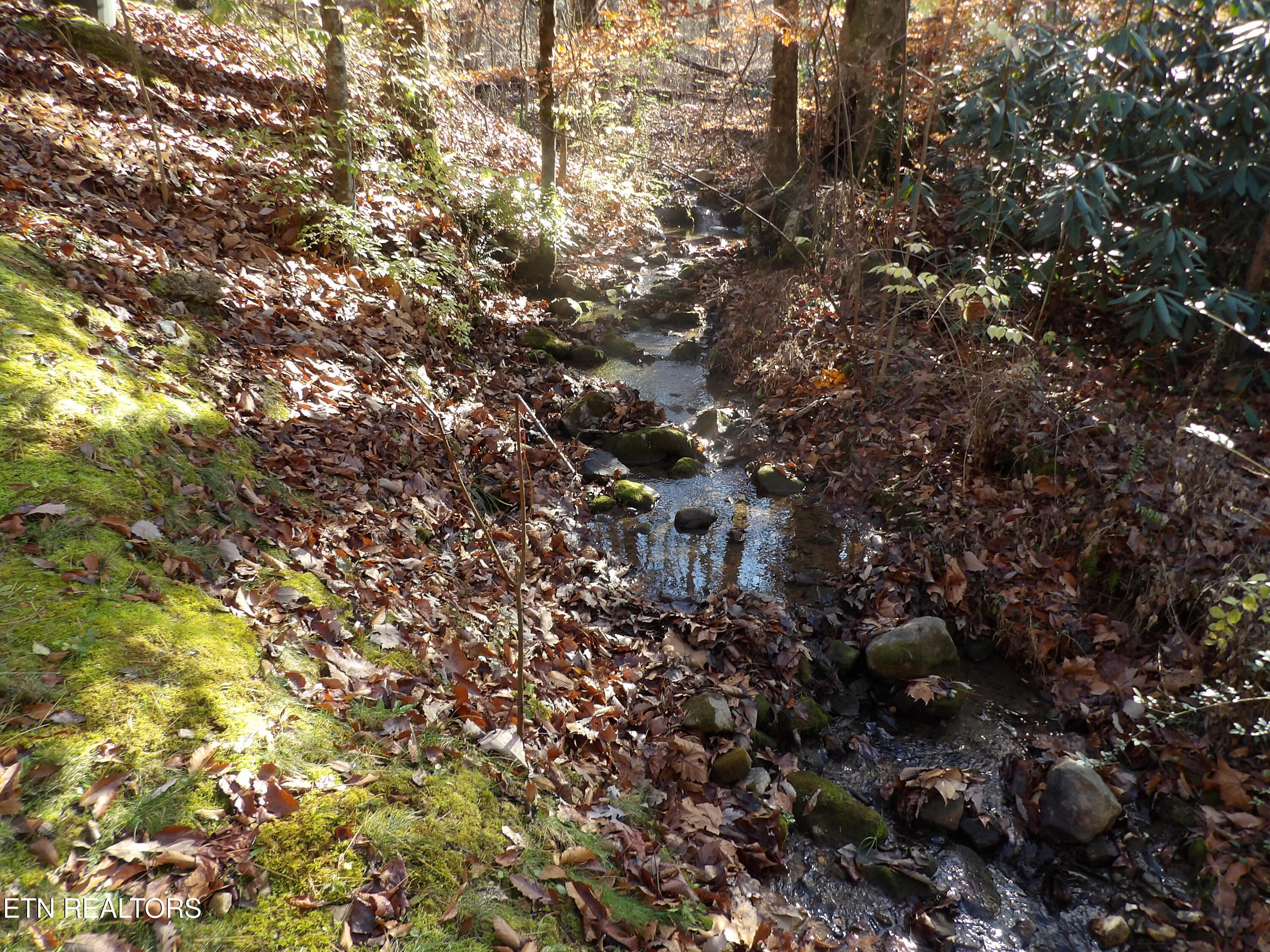 4716-4728 Fred Jennings Road Walland, TN 37886 - Photo 60 of 60 271_0352