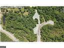 Lot 394 Whales Brook Way Waverly, GA 31565 - Photo 2 of 20 a view of a forest