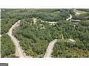 Lot 394 Whales Brook Way Waverly, GA 31565 - Photo 4 of 20 a view of a forest