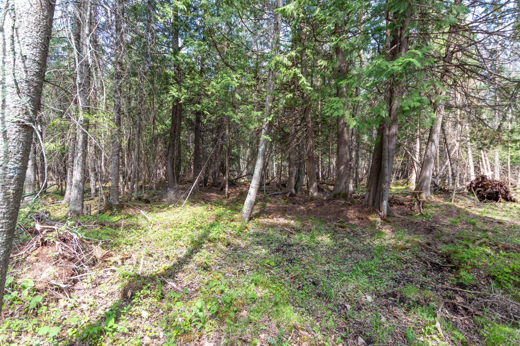 Tbd Tbd Stephani Road Northwest Puposky, MN 56667 - Photo 8 of 24