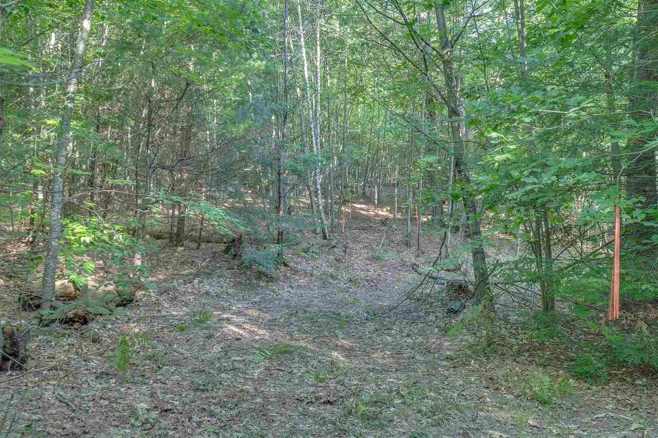 125 Bunker Hill Road New Boston, NH 03070 - Photo 8 of 34 Gallery Image 8