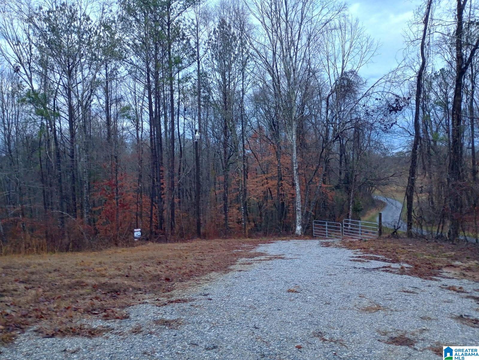 310 Fredric Ferry Road, Unit 5 AC Daviston, AL 36256 - Photo 1 of 10