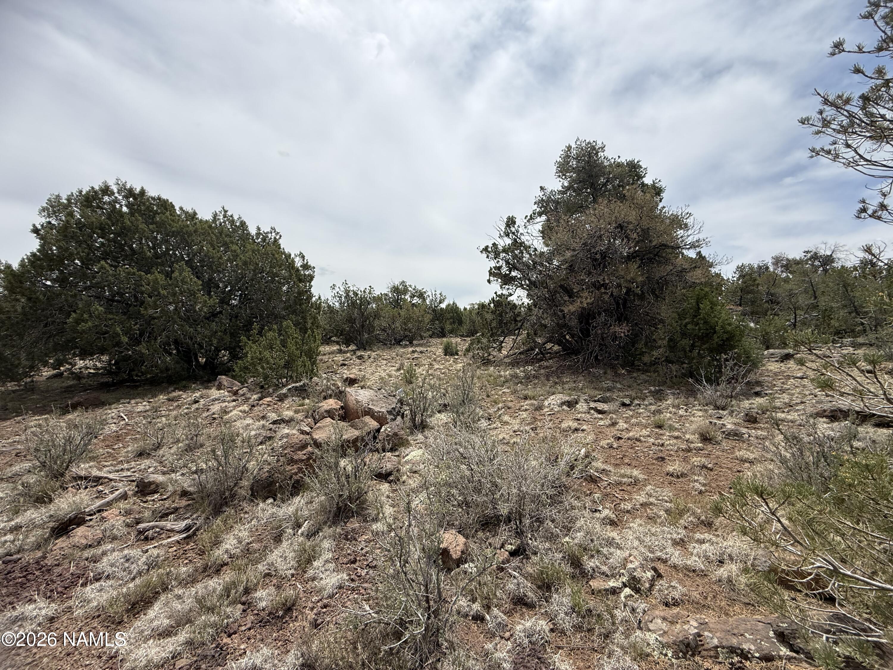 732 East Sidewinder Road Williams, AZ 86046 - Photo 3 of 10 IMG_5385