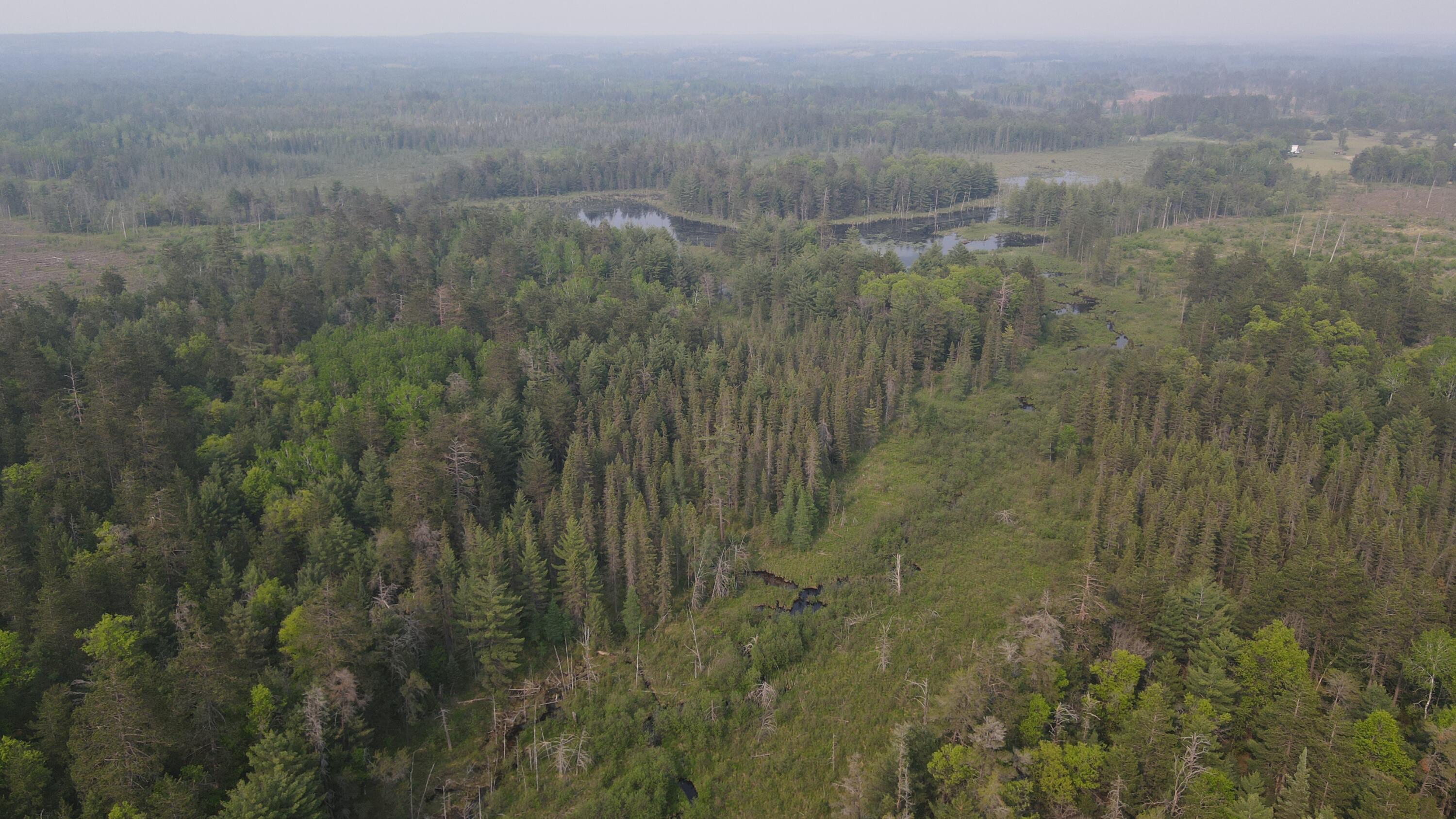 Parcel B Cherry Creek Road Grayling, MI 49738 - Photo 7 of 25 DJI_0936