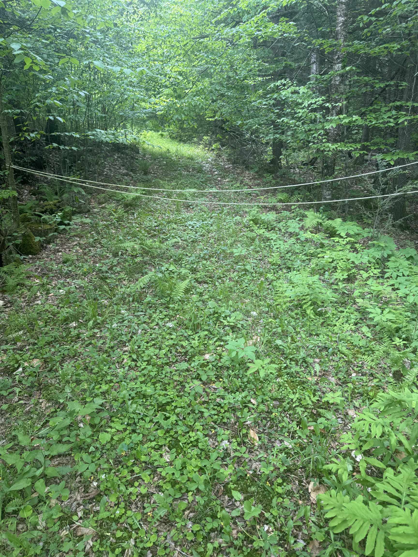 Lot 13 Beach Pond Road Wolfeboro, NH 03894 - Photo 9 of 17