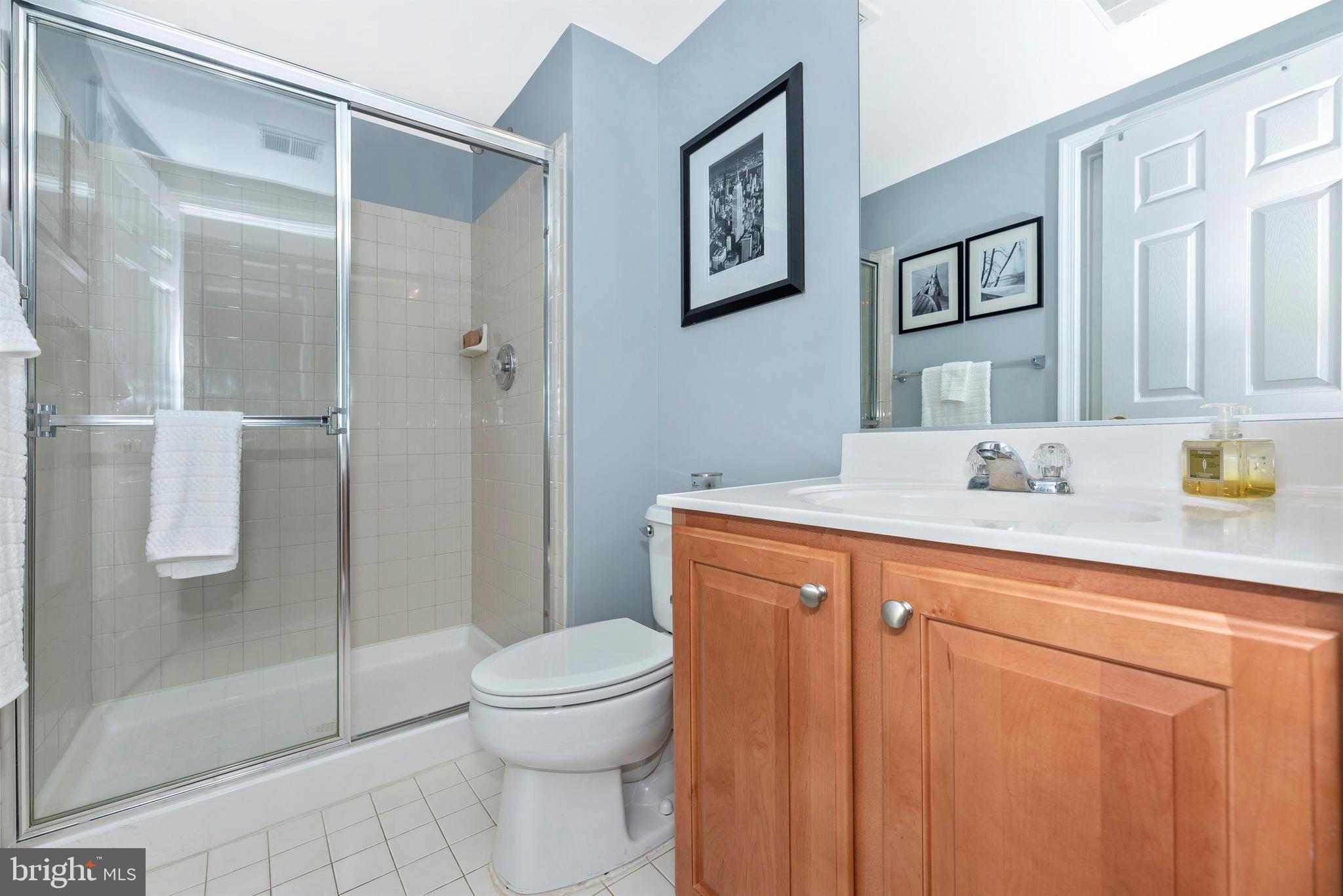 1514 Rising Ridge Road Mount Airy, MD 21771 - Photo 31 of 36 Bathroom 4 in lower level