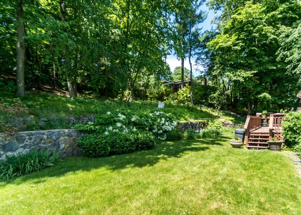 166 Totten Pond Road Waltham, MA 02451 - Photo 24 of 29 a view of a backyard with plants